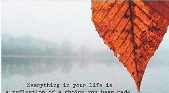 Your Reflections on Women’s Day (March 8th 2018): A Day for Reflection