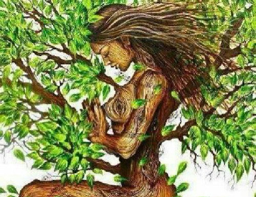 Ecofeminism: Where Environmentalism Meets Feminism