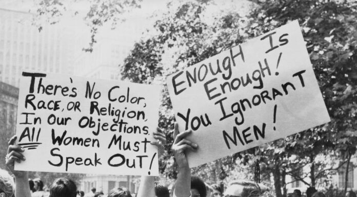 Did the Feminist Movement Destroy Society as We Know It?