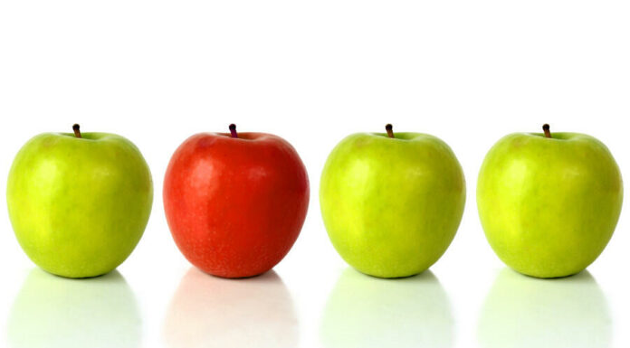 Stock Image Duplicates: Hidden Costs?