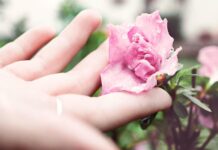 7 savons pour booster votre routine de soins quotidienne