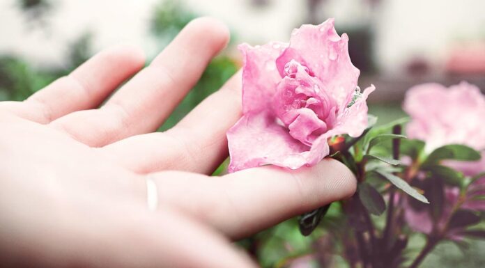 7 jabones para potenciar tu rutina diaria de cuidado de la piel