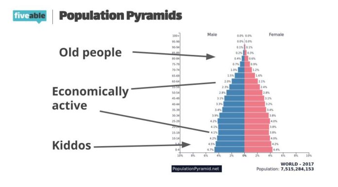 AP Human Geo: Pop Pyramid Truths. We Argue the Real Data