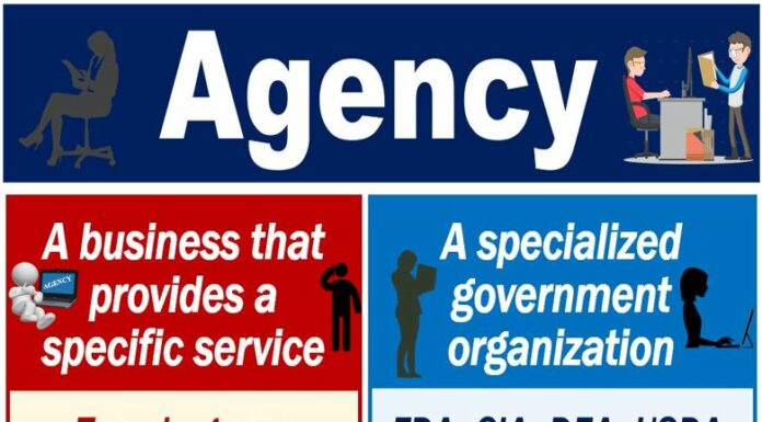 What Does ‘Agency Mean When Feminists Talk About It?