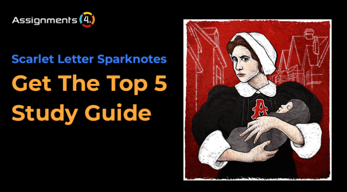 Scarlet Letter SparkNotes: Quick Plot & Key Insights