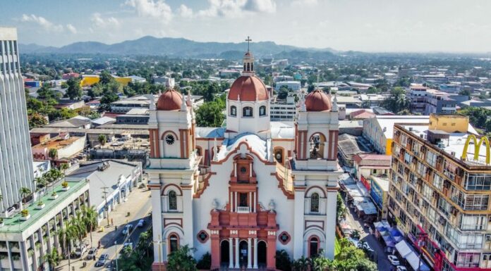 Pros and Cons of Dating a Feminist: What You Need to Know