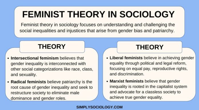 Key Assumptions of Feminist Theory: A Critical Overview