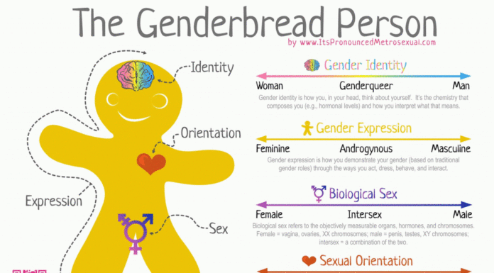 Transgender Tales: Nature, Nurture, and Identity