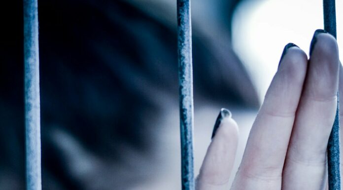 The Craziest Ideas from Radical Feminists: Exploring Extremes