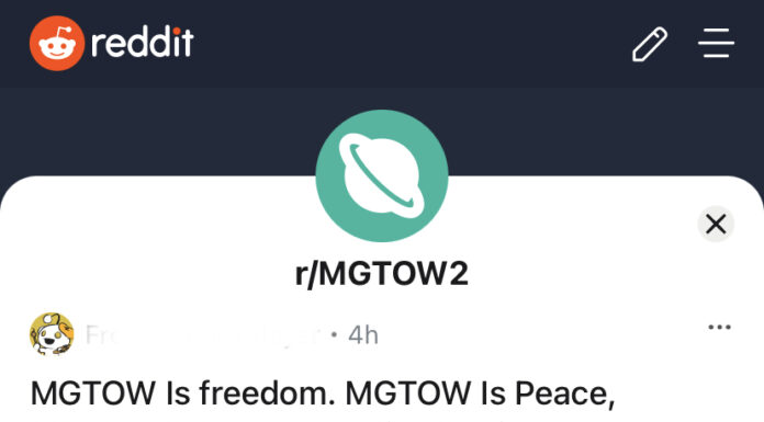 MGTOW & Feminism: Exploring the Connection?