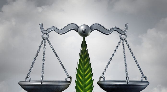 The Pros and Cons of Feminism: Balancing the Debate