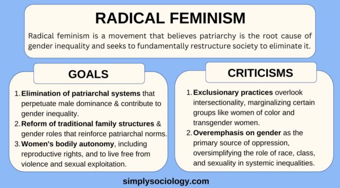 Is the RadFem Movement Hurting Mainstream Feminism?