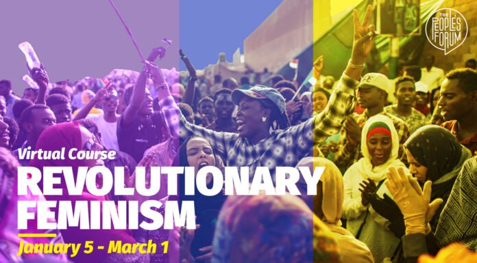 The Purpose of American Feminism in 2022: Has It Changed?