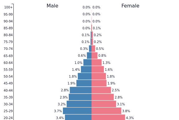 South Korean Population Pyramid: A Nation on the Brink?