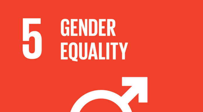 Equality’s Blueprint: Stories of Global Goals