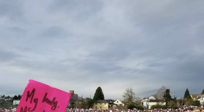 What Do Feminists Think of Porn? Exploring the Debate