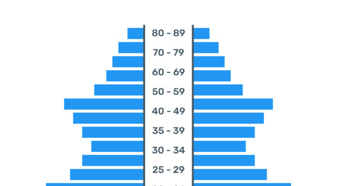 Population Pyramid Clip Art: Visual Demographics!