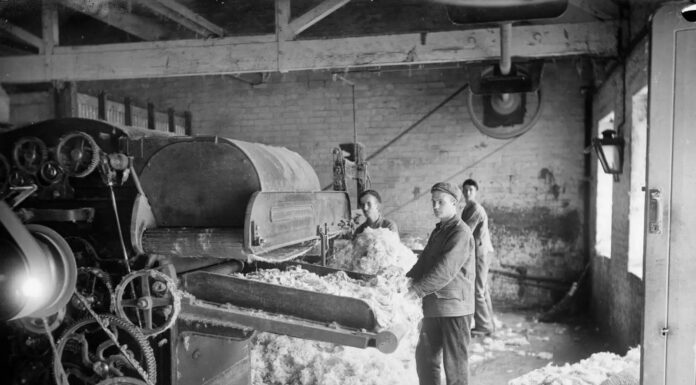 19th Century Cotton Mills: Industrial Era