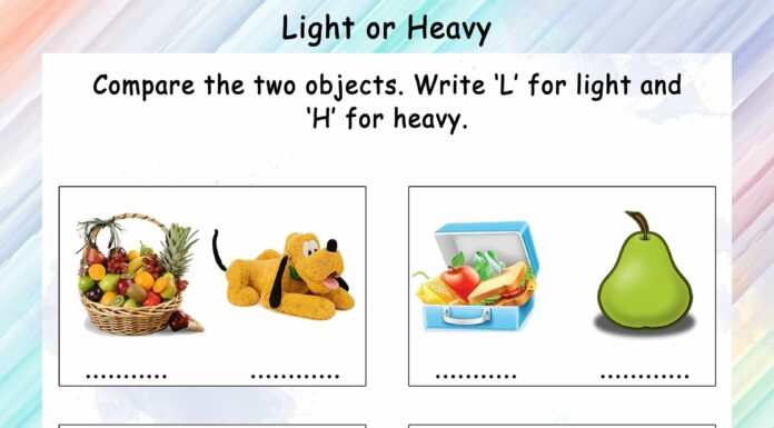 Similar Objects: Same or Different? We Expose Them.