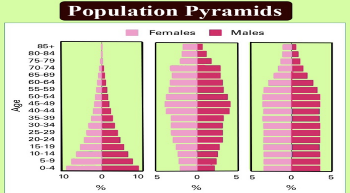 Stationary Pyramid: Stagnant or Stable? We Expose the Truth.