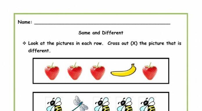 Worksheet Deception: Do They Teach or Divide Minds?