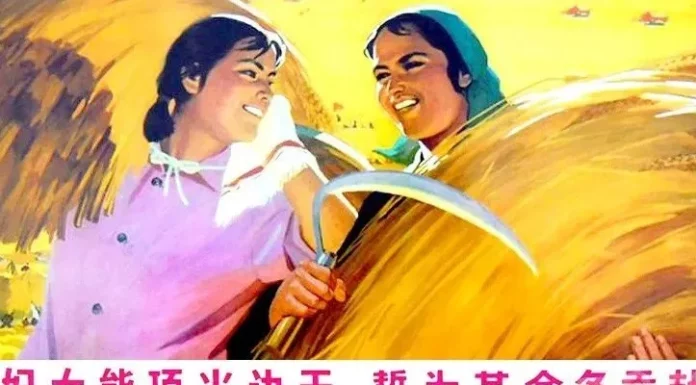 What Do Chinese Men Think About Feminism? A Cross-Cultural View