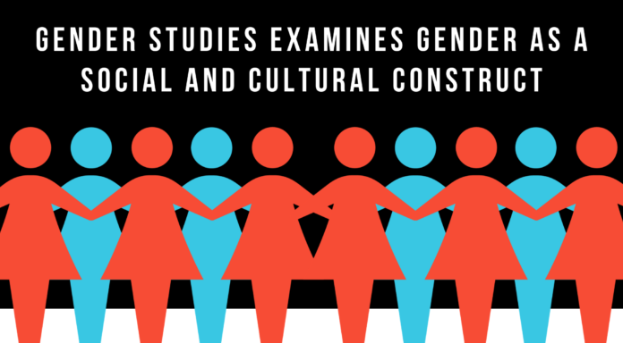 What Does a Gender Studies Degree Cover? A Comprehensive Overview