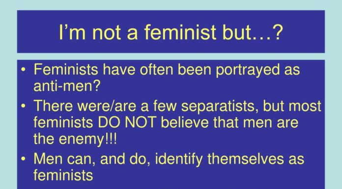 Feminism & Polarization: Analyzing the Perception Gap in Depth