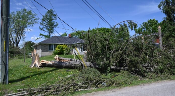 Should Women Have Reserved Seats in Government and Workplaces?