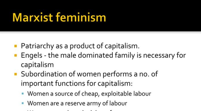 How Much of Feminism Is Marxist? Understanding the Ideological Influence