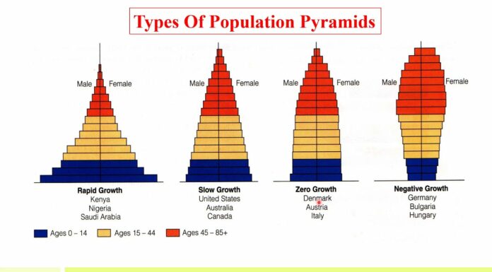 Population Pyramid Types: Your Easy Guide.