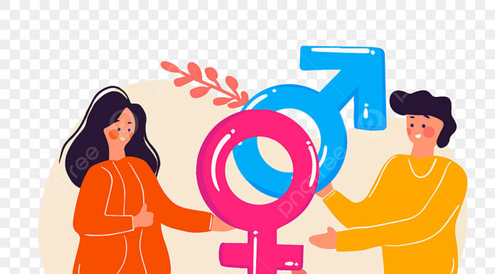 Gender Equality Cartoons: Visual Insights