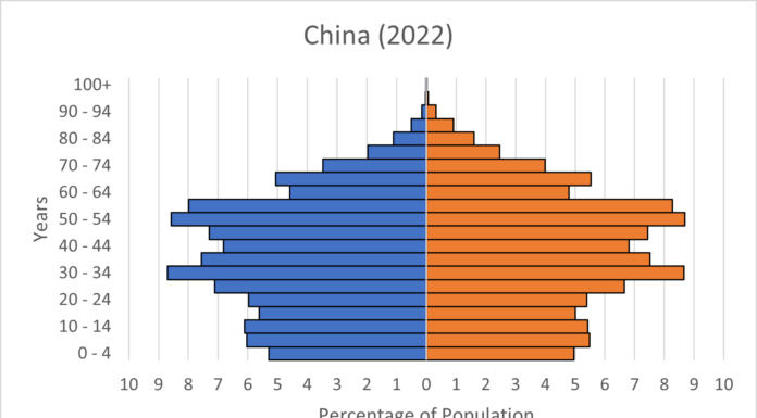 China’s Pyramid: Boom or Bust? We Argue the Real Shape.