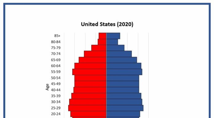 The USA Population Pyramid: A Glimpse into Demographic Dynamics