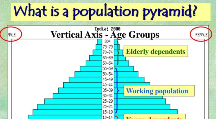 Population Pyramid Percentage: What It Reveals About Demographics