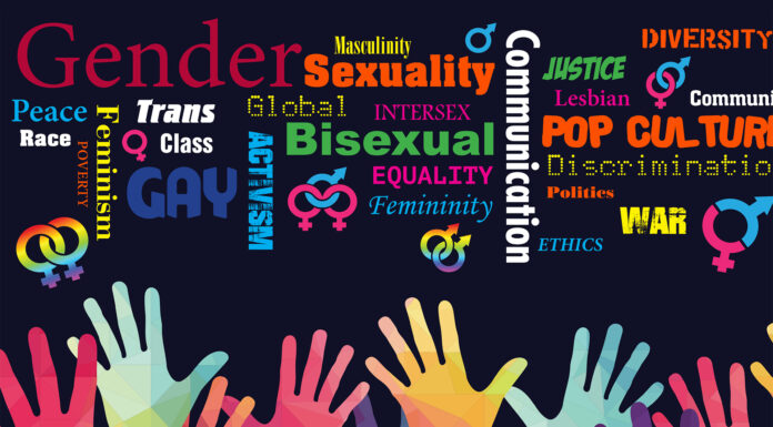 Gender Studies: Why Do People Choose to Major in It?