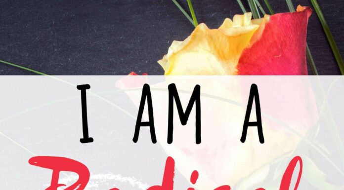 Why Isn’t Radical Feminism Being Challenged Enough?