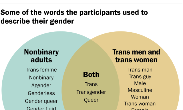 Why Aren’t More Men Entering the Social Sciences? A Gendered Field