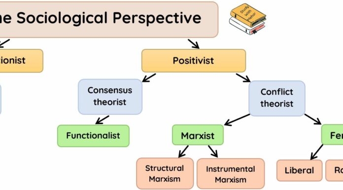 Which Sociological Perspective Best Explains Society? A Deep Dive