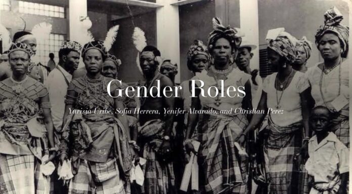 The Origins of Gender Fixation: Who Started It?