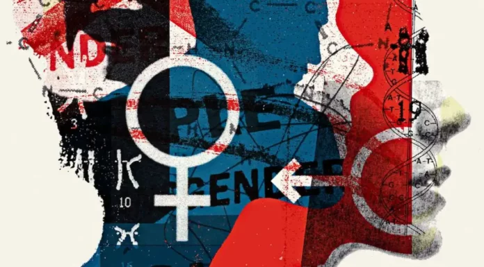 How Do Feminist Women Evaluate Potential Partners?