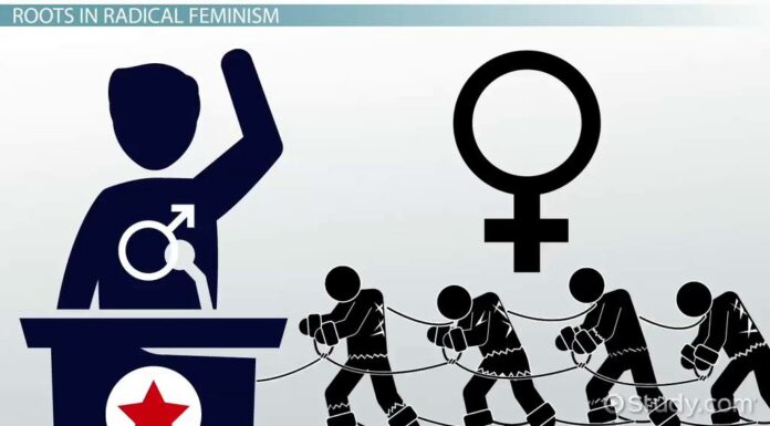 How to Relate Culture Society and Politics to Your Everyday Life