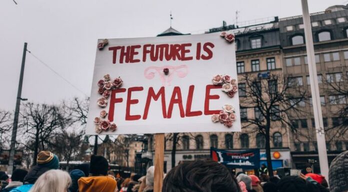 What Does Feminism Really Want?