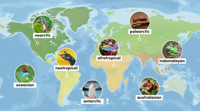 SE Asia Model: AP Human Flawed?