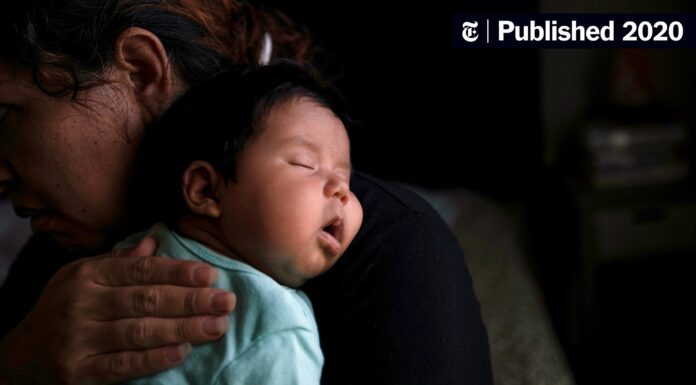 The Delicate Balance: Immigration Policy and Healthcare Desires