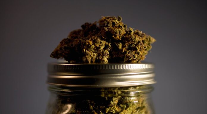 Study Confirms Aspirin and Prednisone Ineffective in Preventing Miscarriage