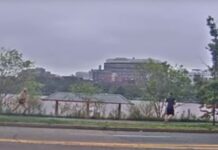 Woman Catches Flasher with a Flash – A Heroic Moment in the Fight Against Sexual Harassment