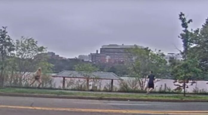 Woman Catches Flasher with a Flash – A Heroic Moment in the Fight Against Sexual Harassment