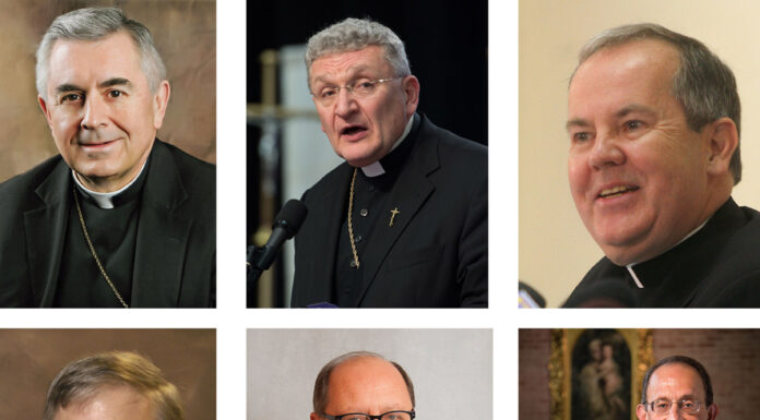 Priest Sentenced in Clergy Abuse Case as Church Scandals Persist