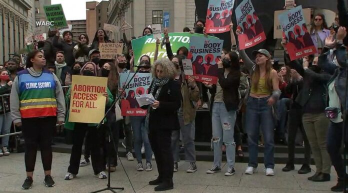 Congresswomen Criticize Mitsubishi: The Fallout from Harassment Allegations